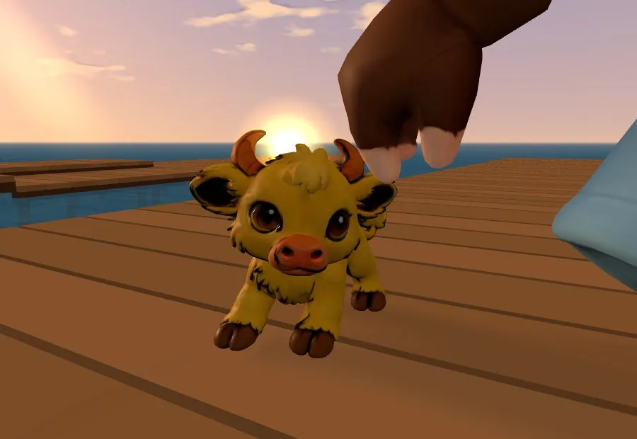 Luminox, the sun calf, on a dock at sunset